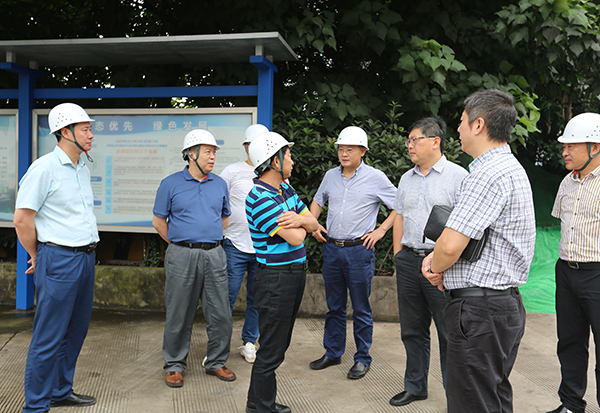 5d1099c67d4b9.jpg 2.jpg