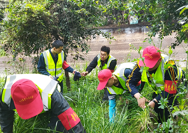 604d725dd7a5b.jpg 1.jpg