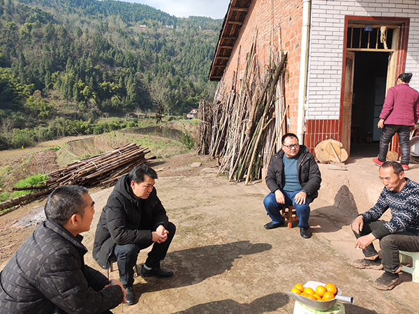 659751c7596db.jpg 2.jpg